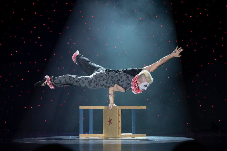 Cours de pole dance à Bruxelles Brussels Art and Pole School